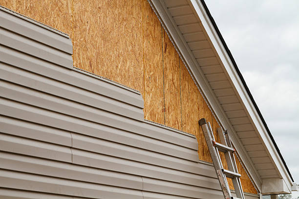 Professional Storm Damage Siding Repair technician working in Independence, VA